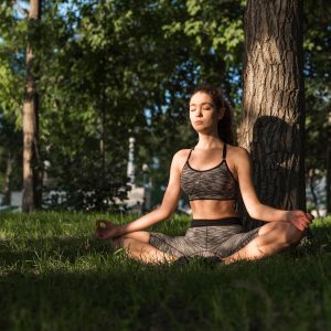 Meditación El bosque